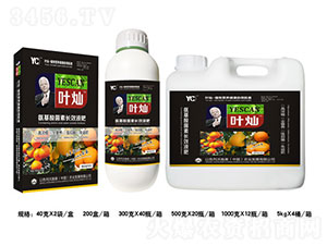 �~�N�����֌��ø߶��~���-�»����