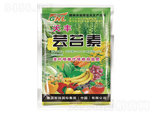 40ml���S�|̦��-�»����