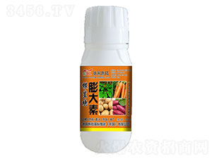 ���o�K���-�»����