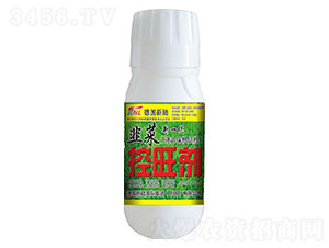 �²˿�����-�»����