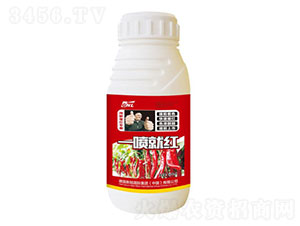 ����һ���ͼt�~���-�»����