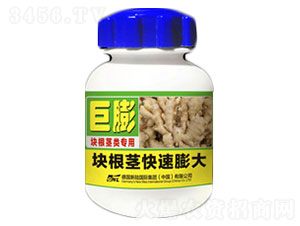 �󽪉K���o���-�»����