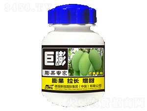 â�������~���-�»����