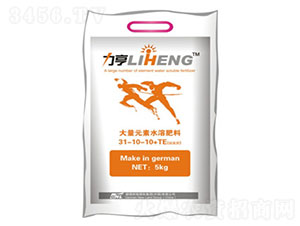 ���M(j��n)�o�~���L(zh��ng)������31-10-10+TE-�»����