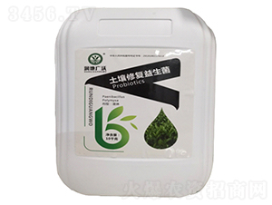 �����ޏ�(f��)������-��(chu��ng)�S�r(n��ng)�I(y��)