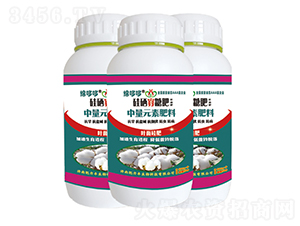 �������Ƿʣ��~���ʣ�-�d�߶�-�����S