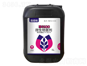 ���S100΢�������-�߼~��