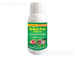 ��ݮ�t����-�����r(n��ng)��