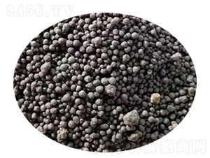 ΢��������w��-�l(f��)ؔ��