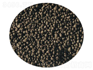 ΢�������-�l(f��)ؔ��