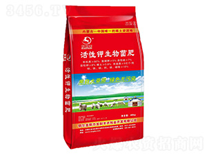 ������������-�l(f��)ؔ(c��i)��