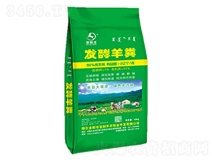 �l(f��)����S-�l(f��)ؔ��