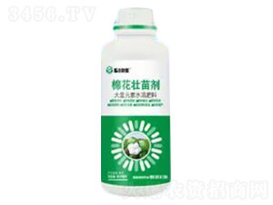 �޻����焩-��S