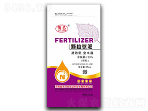 �w������-�ΰ�-������