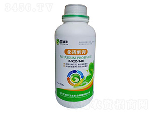 �������-�����S