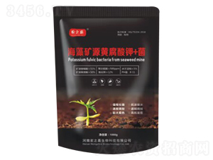 ����VԴ�S�����+��-�r(n��ng)֮ϲ