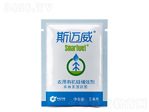 �r(n��ng)���ЙC(j��)����Ч��-˹�~��-���(sh��)�I(y��)