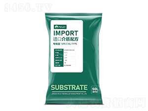 �������������|(zh��)-����