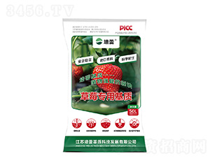 ��ݮ������|(zh��)-����