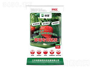 ��ݮ�ЙC������|(zh��)-����