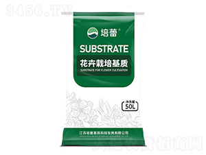 ������ľ������|(zh��)-����