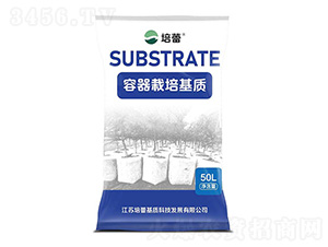 ����������|-����