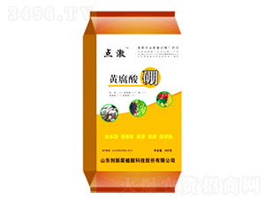 �S������-�c(di��n)��-�ֵ��S