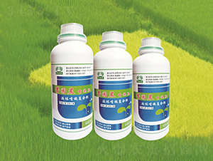 ݼ�@����ʩ��-ԣ�SԴ