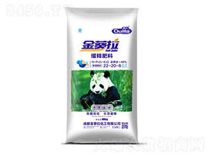 ��ጷ���22-20-6-�����