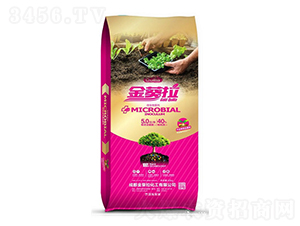 ΢�������-�����