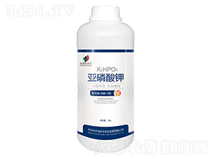 �������-ԣ���S