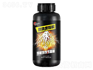 �VԴ�S�����ԴҺ-�ŵ�������