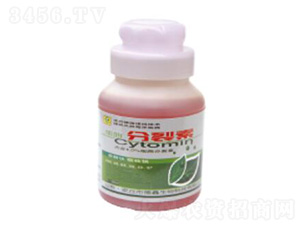 ������-��������