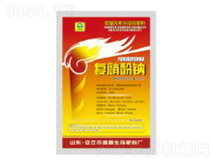 5g��(f��)�����c-��������