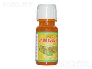 ˮ�������-��������