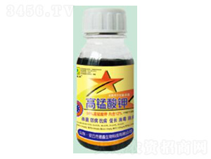 ���i���50ml-��������