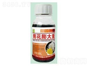 �ջ������-��������