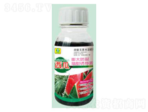 ���������������T��(d��o)��-��������