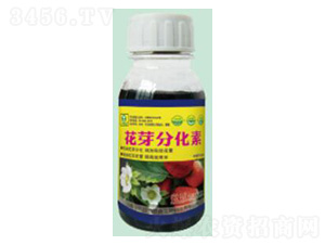 ��ѿ�ֻ���-��������