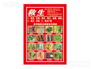 ����-��������