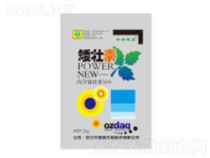 25g������-��������