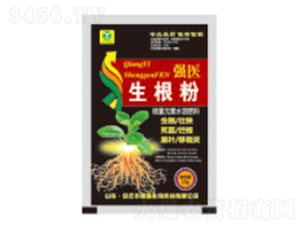 ������-��������