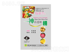 ���ڷ۾�-��������