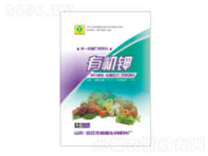 �ЙC(j��)�-��������