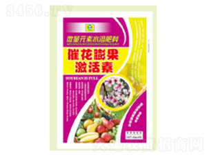 �߻����������-��������