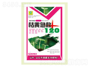 25g���S����-��������