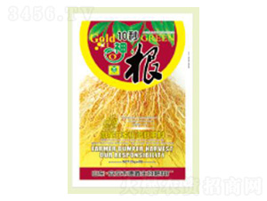 ���-��������