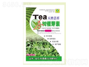 ����ѿ��25g-��������