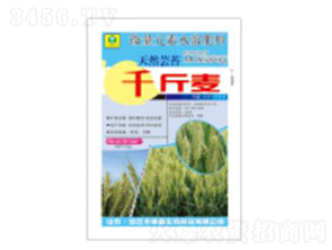 ǧ����-��������