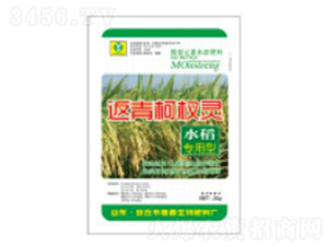 �������`-��������